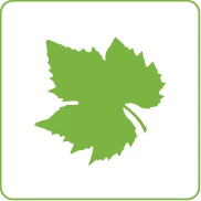 LIFTKEYS Dekoratif Cam - Doğa, Yaprak ve Orman Desenli Kabinler